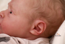 Load image into Gallery viewer, CUDDLE BABY Jayden Awake by Natalie Scholl Reborn Baby Boy Doll - Reborn, Sweet Shaylen Maxwell iiora 2016-2021