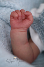 Load image into Gallery viewer, LAYAWAY Harper by Andrea Arcello Reborn Baby Boy - Reborn, Sweet Shaylen Maxwell