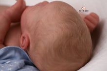 Load image into Gallery viewer, SOLD OUT Rare Quinlyn Eagles Reborn Baby Boy Doll - Reborn, Sweet Shaylen Maxwell iiora 2016-2021