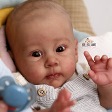 Load image into Gallery viewer, READY TO SHIP Huxley by Andrea Arcello Biracial Reborn Baby Boy - Reborn, Sweet Shaylen Maxwell