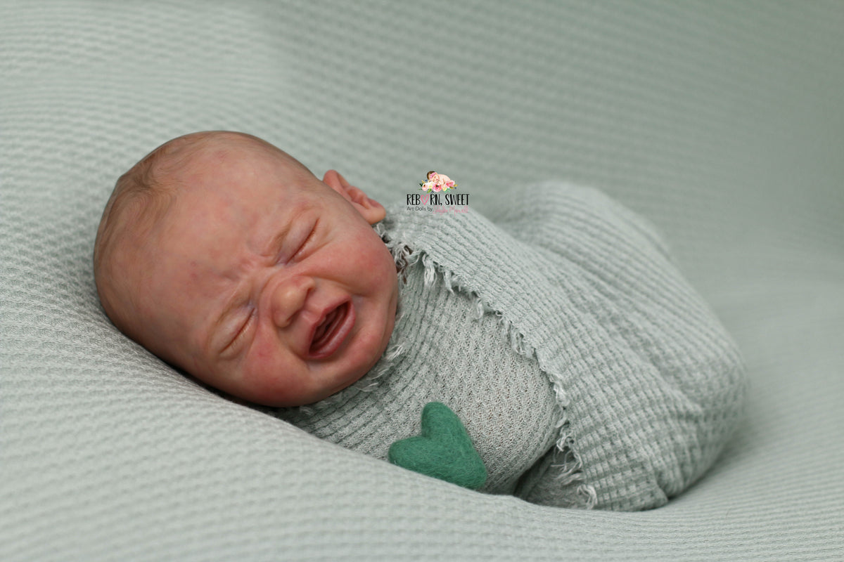 CUDDLE BABY Edwin by Elisa Marx Reborn Baby Girl OR Boy Doll Reborn, Sweet Shaylen Maxwell iiora 2016-2019