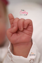 Load image into Gallery viewer, PROTOTYPE Oakley by Sandrien Faber Reborn Baby Girl Doll - Reborn, Sweet Shaylen Maxwell iiora 2016-2020