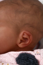 Load image into Gallery viewer, READY TO SHIP Painted Hair EVERLEE Altenkirch Biracial Reborn Baby Girl - Reborn, Sweet Shaylen Maxwell iiora 2016-2021