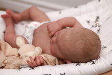 Load image into Gallery viewer, SOLD OUT Rare Quinlyn Eagles Reborn Baby Boy Doll - Reborn, Sweet Shaylen Maxwell iiora 2016-2021