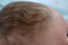 Load image into Gallery viewer, LAYAWAY Harper by Andrea Arcello Reborn Baby Boy - Reborn, Sweet Shaylen Maxwell