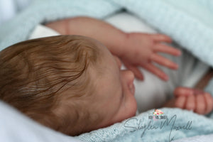 LAYAWAY Harper by Andrea Arcello Reborn Baby Boy - Reborn, Sweet Shaylen Maxwell