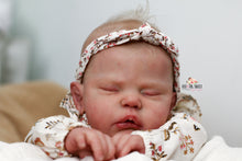 Load image into Gallery viewer, Sold Out &quot;Evelyn&quot; by Cassie Brace Reborn Baby Girl Doll - Reborn, Sweet Shaylen Maxwell iiora 2016-2021