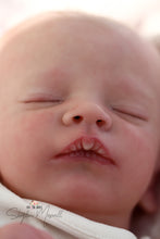 Load image into Gallery viewer, Sold Out - CUSTOM Realborn Christopher Reborn Baby Boy - Reborn, Sweet Shaylen Maxwell