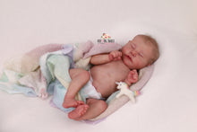Load image into Gallery viewer, 1st EDITION Chase Bonnie Brown Reborn Baby Girl Doll - Reborn, Sweet Shaylen Maxwell iiora 2016-2021