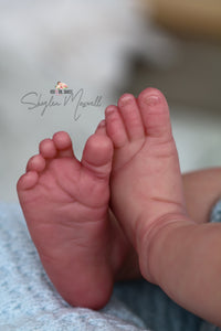 LAYAWAY Harper by Andrea Arcello Reborn Baby Boy - Reborn, Sweet Shaylen Maxwell