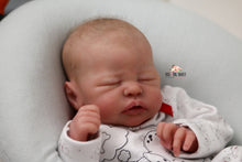 Load image into Gallery viewer, SOLD OUT Rare Quinlyn Eagles Reborn Baby Boy Doll - Reborn, Sweet Shaylen Maxwell iiora 2016-2021