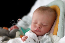 Load image into Gallery viewer, Sold Out - CUSTOM Realborn Christopher Reborn Baby Boy - Reborn, Sweet Shaylen Maxwell