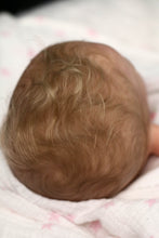 Load image into Gallery viewer, PROTOTYPE Tilda by Didy Jacobsen Reborn Cuddle Baby Boy/Girl Doll - Reborn, Sweet Shaylen Maxwell iiora 2016-2019
