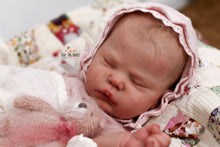 Load image into Gallery viewer, Sold Out &quot;Evelyn&quot; by Cassie Brace Reborn Baby Girl Doll - Reborn, Sweet Shaylen Maxwell iiora 2016-2021