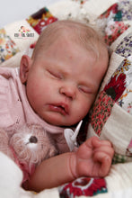 Load image into Gallery viewer, Sold Out &quot;Evelyn&quot; by Cassie Brace Reborn Baby Girl Doll - Reborn, Sweet Shaylen Maxwell iiora 2016-2021