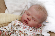 Load image into Gallery viewer, Sold Out &quot;Evelyn&quot; by Cassie Brace Reborn Baby Girl Doll - Reborn, Sweet Shaylen Maxwell iiora 2016-2021