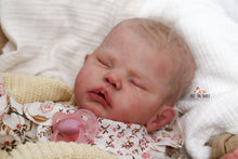 Load image into Gallery viewer, Sold Out &quot;Evelyn&quot; by Cassie Brace Reborn Baby Girl Doll - Reborn, Sweet Shaylen Maxwell iiora 2016-2021