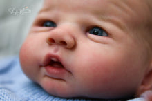 Load image into Gallery viewer, DEPOSIT - CUSTOM "Freddy" by Sandy Faber Reborn Baby