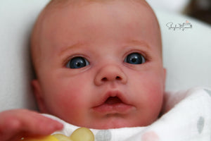 Sold Out - CUSTOM "Primrose Awake" by Laura Lee Eagles Reborn Baby (Copy)