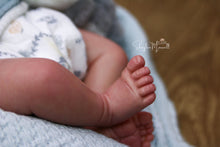 Load image into Gallery viewer, DEPOSIT - CUSTOM "Freddy" by Sandy Faber Reborn Baby