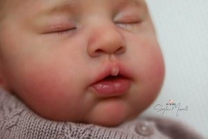 DEPOSIT - CUSTOM "Emilia" by Ping Lau Reborn Baby