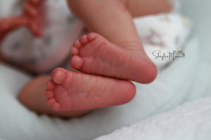 Sold Out - CUSTOM "Primrose" by Laura Lee Eagles Reborn Baby