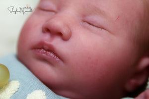 Sold Out - Realborn "Laila" Reborn Baby