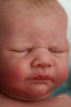 Load image into Gallery viewer, In Progress - &quot;Kovu&quot; by Sabrina Hergarten Reborn Baby