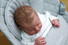Load image into Gallery viewer, Sold Out - CUSTOM "Otto" by Joanna Kazmierczak Reborn Baby