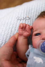 Load image into Gallery viewer, Sold Out - CUSTOM "Freddy" by Sandy Faber Reborn Baby