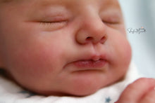 Load image into Gallery viewer, SOLD OUT - "Otto" by Joanna Kazmierczak Reborn Baby