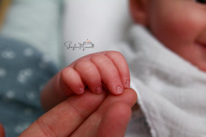 Sold Out - "Emilia" by Ping Lau Reborn Baby