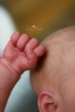 Load image into Gallery viewer, READY TO SHIP Twins &quot;Lily &amp; Irys&quot; by Joanna Kazmierczak Reborn Baby