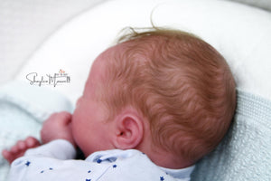 Sold Out - Realborn "Laila" Reborn Baby