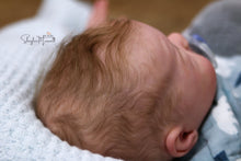 Load image into Gallery viewer, Sold Out - CUSTOM "Freddy" by Sandy Faber Reborn Baby