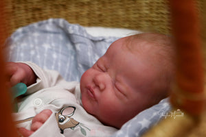 Sold Out - CUSTOM "Evin" by Elisa Marx Reborn Baby