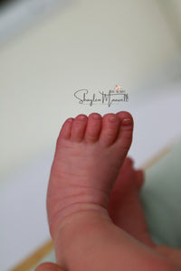 Sold Out - CUSTOM "Evin" by Elisa Marx Reborn Baby