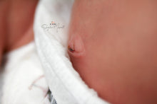 Load image into Gallery viewer, Sold Out - CUSTOM &quot;Gracie May&quot; by Laura Lee Eagles Reborn Baby