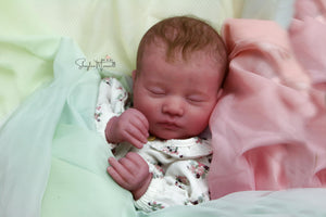 RESERVE NOW - Realborn "Laila" Reborn Baby