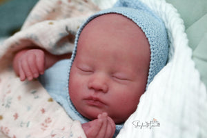 ALMOST COMPLETE Realborn "Laila" Reborn Baby
