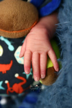 Load image into Gallery viewer, READY TO SHIP  &quot;Leo&quot; by Cassie Brace Reborn Baby