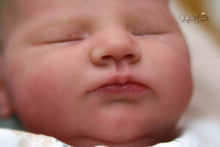 Load image into Gallery viewer, Sold Out - CUSTOM &quot;Quinlyn&quot; by Bonnie Brown Reborn Baby