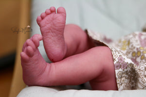 RESERVE NOW - Realborn "Laila" Reborn Baby