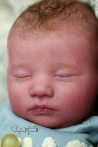 Sold Out - Realborn "Laila" Reborn Baby
