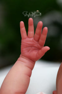 Sold Out - CUSTOM "Primrose Awake" by Laura Lee Eagles Reborn Baby (Copy)