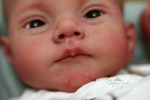 Load image into Gallery viewer, READY TO SHIP &quot;Lily&quot; by Joanna Kazmierczak Reborn Baby