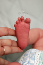 Load image into Gallery viewer, READY TO SHIP  &quot;Leo&quot; by Cassie Brace Reborn Baby