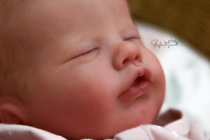 Sold Out - CUSTOM "Primrose" by Laura Lee Eagles Reborn Baby