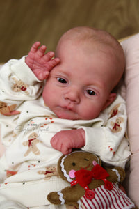 READY TO SHIP "Lily" by Joanna Kazmierczak Reborn Baby