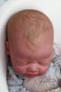 Sold Out - CUSTOM "Evin" by Elisa Marx Reborn Baby